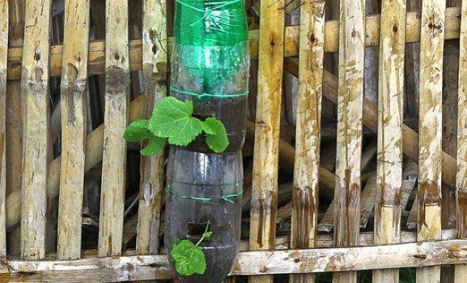 Поделки из пластиковых бутылок для сада и огорода: часть 2 | Садоёж